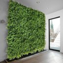 Ver imagem 6 de 2 Painéis de Folhagem Artificial - Parede Verde Jardim Vertical Fácil Instalação Alta Qualidade