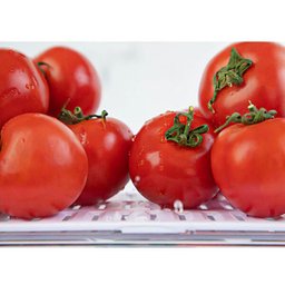 Organizador De Geladeira Porta Frutas Legumes Vegetais 5L Com Respiradouro Clear Fresh OU - 6