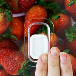 Organizador De Geladeira Porta Frutas Legumes Vegetais 5L Com Respiradouro Clear Fresh OU - 5