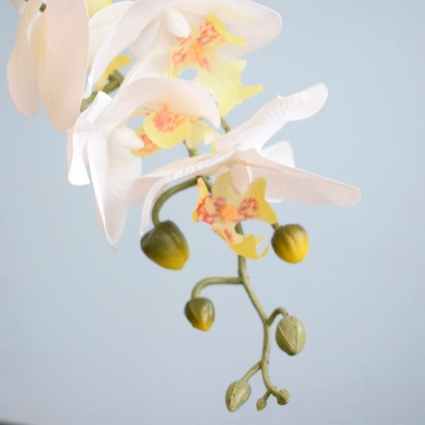 Arranjo com Duas Orquídeas de Silicone Brancas Artificiais No Vaso de Vidro Bronze - 5