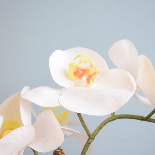 Arranjo com Duas Orquídeas de Silicone Brancas Artificiais No Vaso de Vidro Bronze - 4