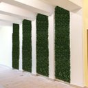 Ver imagem 1 de 25 Placas de 25x25cm Buxinho Artificial para Fundo de Vídeos, Estúdios ou Espaços Instagramáveis