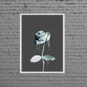 Ver imagem 1 de Quadro Decorativo Rosa De Tinta Azul 24x18cm:Madeira branca