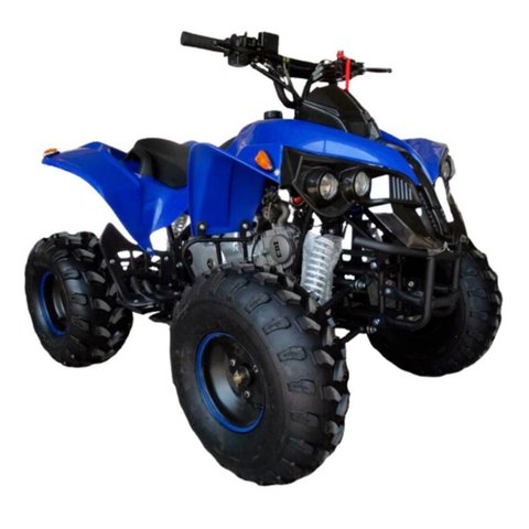 Quadriciclo Gasolina 125cc 4t Partida Elétrica Automático com Ré 0km Azul Importway Iwatvr-125 Az