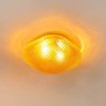 Plafon Ozzy Âmbar Metal e Vidro para 2 G9 Starlux Lt-001S St1951 - 4