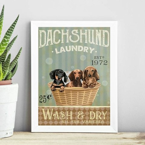 Quadro para Lavanderia Dachshund 24x18cm - com Vidro:madeira Preta