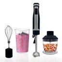 Ver imagem 1 de Blendtec Liquidificador de Mão com 3 Acessórios e Jarra 20 Oz - Aço Inoxidável