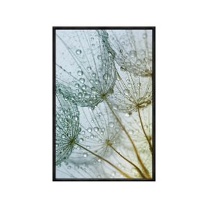 Quadro Decorativo - Dente de Leao Orvalho Flnt041 - Vidro com Impressão Uv - 80x60cm