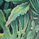 Ver imagem 4 de Papel de Parede Estampado Folha Verde Vinilico Lavável+ Cola Inclusa