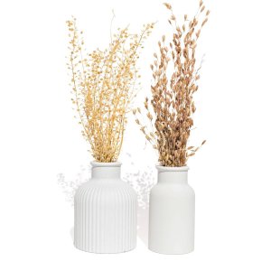 Vaso Decorativo Garrafa Conjunto 2 Pçs Artesanal com Flor Seca - Branco