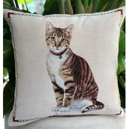 Almofada cheia em Jacquard Gato Listrado - 1