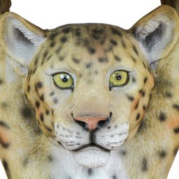 M1 Mesa Leopardo de Resina G - 7