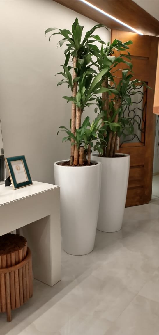 Vaso Cachepot Para Plantas E Flores Tipo Vietnamita 90x45cm Branco - 1