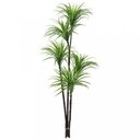 Ver imagem 1 de Planta Artificial para Sala Árvore Yucca 1,60M