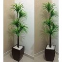 Ver imagem 2 de Planta Artificial para Sala Árvore Yucca 1,60M