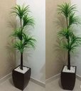 Ver imagem 2 de Planta Artificial para Sala Árvore Yucca 1,60M