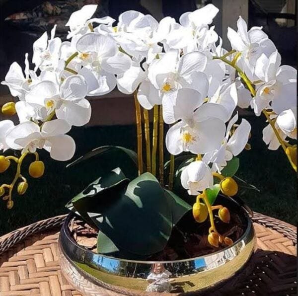 Arranjo Artificial de 5 Orquídeas de Silicone branca com vaso de vidro Cromado Prata - 1