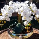 Ver imagem 1 de Arranjo Artificial de 5 Orquídeas de Silicone branca com vaso de vidro Cromado Prata