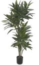 Ver imagem 1 de Planta Artificial A.Dracena Real Toque C/Pote x238 (Verde Creme) 1,9M