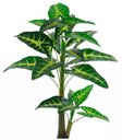 Ver imagem 1 de Planta Árvore Artificial Alocásia Verde 1,25m