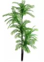 Ver imagem 1 de Planta Árvore Artificial Palmeira Verde 1,6m