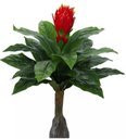Ver imagem 1 de Planta Árvore Artificial Bromélia Real Toque Vermelho 91cm