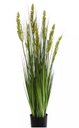 Ver imagem 1 de Planta Árvore Artificial Grass Grãos Verde com Vaso 90cm