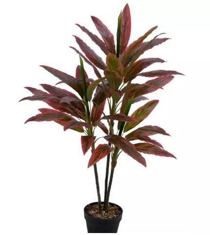 Planta Artificial Árvore Dracena Real Toque Vermelho 1,1m