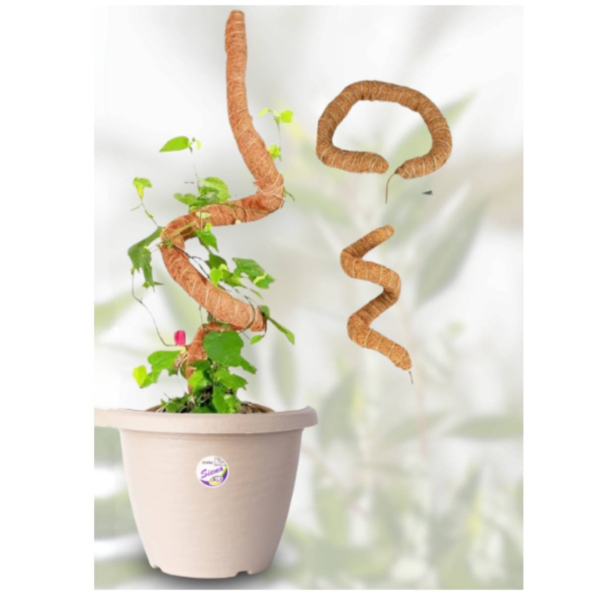 Tutor Flexível de Fibra de Coco P/ Plantas (60cm) Top Garden - 5