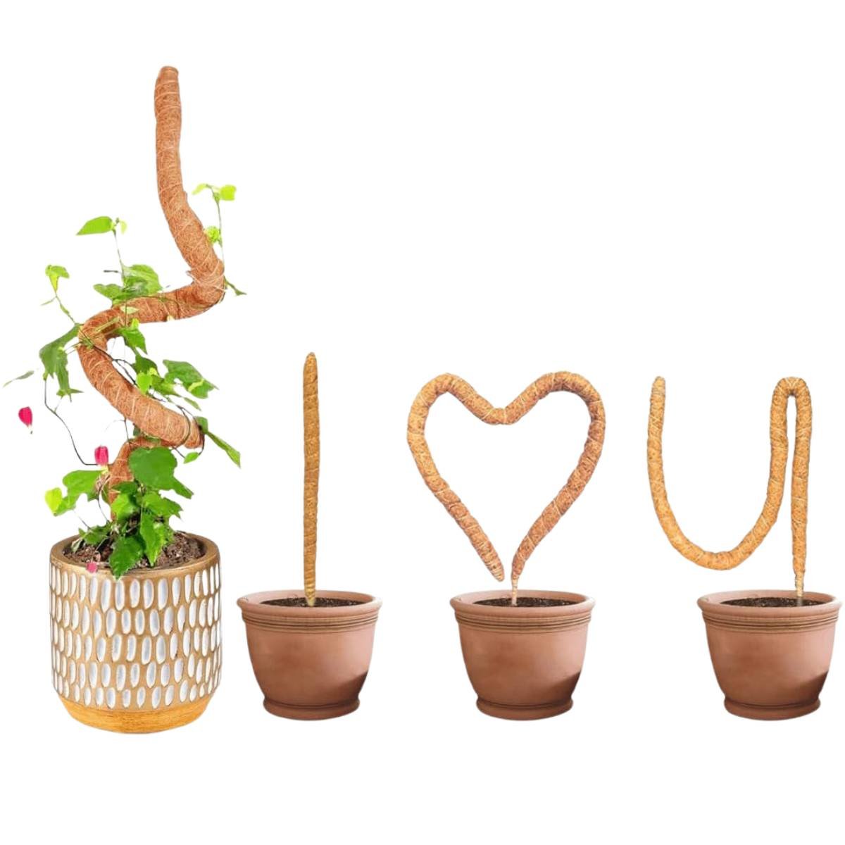 Tutor Flexível de Fibra de Coco P/ Plantas (60cm) Top Garden - 4