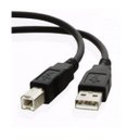 Ver imagem 2 de Cabo USB 2.0 AM/BM para Impressoras HP Epson Lexmark Brother Canon - 1,8 Mts