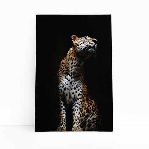 Onça Pintada Fotografia Minimalista Quadro Canvas 60x40cm