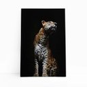 Ver imagem 1 de Onça Pintada Fotografia Minimalista Quadro Canvas 60x40cm