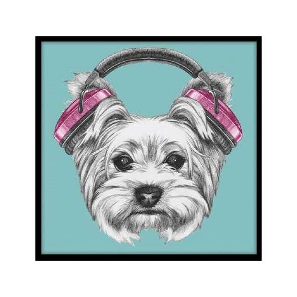 Quadro Barcelona Headphone Dog Azul 30x30cm