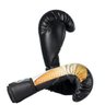 Luva Boxe Muay Thai Fheras Top Horus (070103) - 6