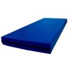 Colchão Hospitalar Solteiro Impermeável Espuma D20 Azul 188x78x8 Rg Colchões - 1