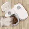 Alimentador Bebedouro Comedouro Temporizador Inteligente Raçao Agua Cachorro Gato Pet Bichos Comida  - 6