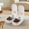 Alimentador Bebedouro Comedouro Temporizador Inteligente Raçao Agua Cachorro Gato Pet Bichos Comida  - 3