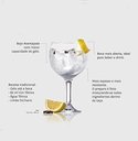 Ver imagem 4 de Jogo 2 Taças para Gin Tônica 600 ml Vidro Nadir Figueiredo - 7948