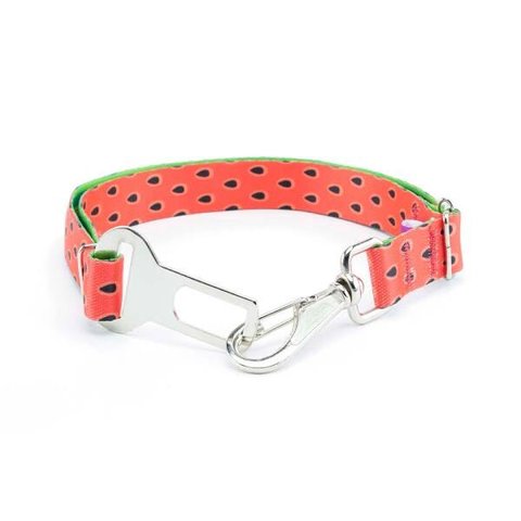 Cinto de Segurança cachorro Smooty Pet Melancia:M