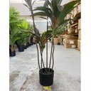 Ver imagem 4 de Planta Artificial Dracena Borda Vermelha Árvore com 1.50m