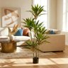 Planta Artificial Dracena Borda Vermelha Árvore com 1.50m - 1