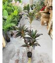 Ver imagem 5 de Planta Artificial Dracena Borda Vermelha Árvore com 1.50m