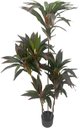 Ver mais imagens de Planta Artificial Dracena Borda Vermelha Árvore com 1.50m