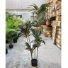 Planta Artificial Dracena Borda Vermelha Árvore com 1.50m - 6