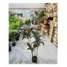 Planta Artificial Dracena Borda Vermelha Árvore com 1.50m - 2