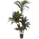 Ver imagem 7 de Planta Artificial Dracena Borda Vermelha Árvore com 1.50m