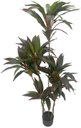Ver imagem 7 de Planta Artificial Dracena Borda Vermelha Árvore com 1.50m