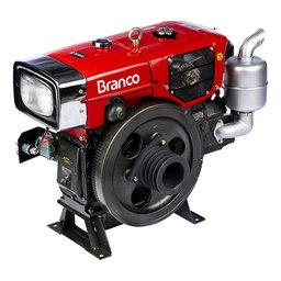 Motor Estacionário 17,4cv Diesel Partida Elétrica Branco - 1