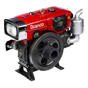 Motor Estacionário 17,4cv Diesel Partida Elétrica Branco